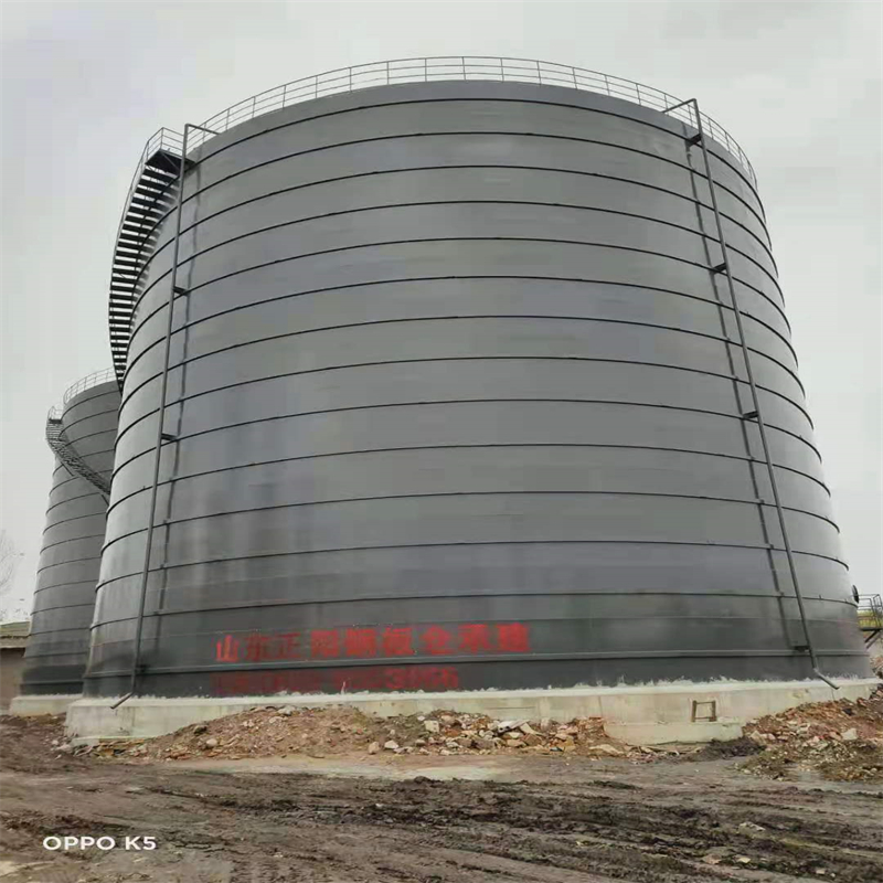 上林3万吨大型钢板库