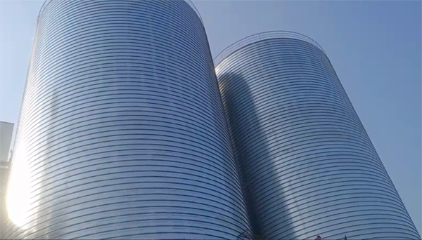 上林2座混凝土高架卷板仓